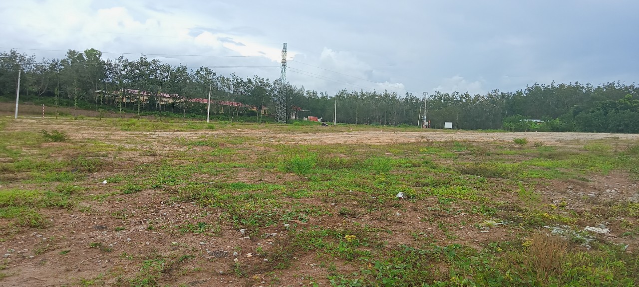 Đấu giá Quyền sử dụng đất